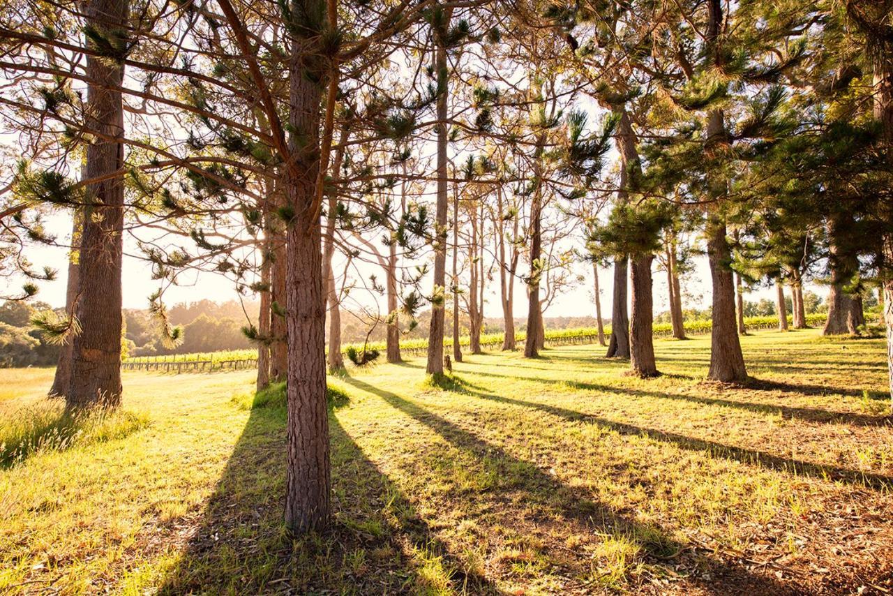 Ruse Estate Retreat Margaret River Rosa Glen Exterior photo