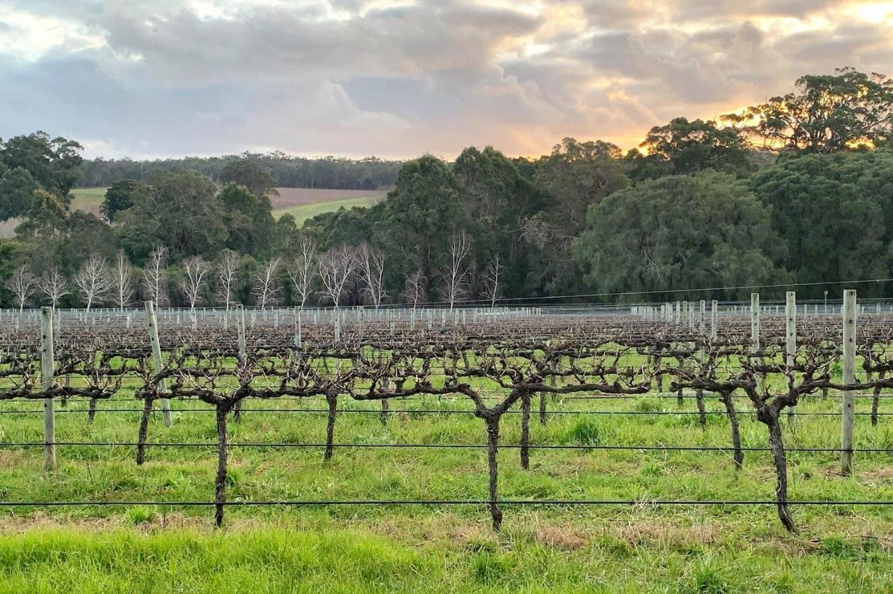 Ruse Estate Retreat Margaret River Rosa Glen Exterior photo